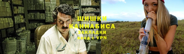 трава Арсеньев