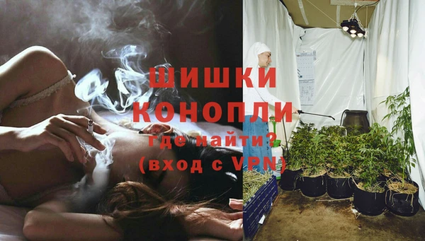 трава Арсеньев