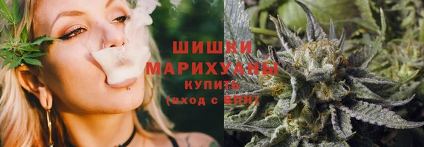 трава Арсеньев