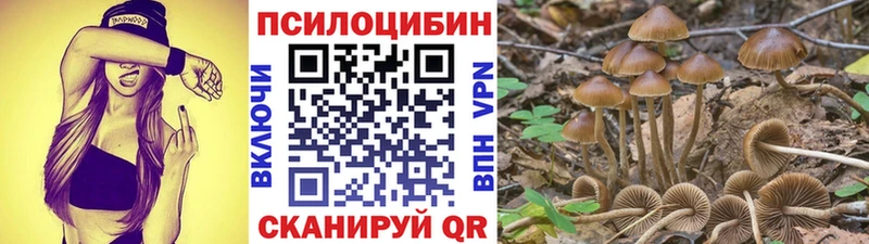 Псилоцибиновые грибы Psilocybe Баксан